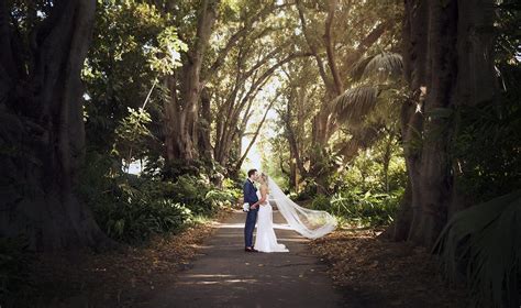 Adelaide Botanic Garden Wedding - Jackie & David | Amazing wedding photography, Wedding ...