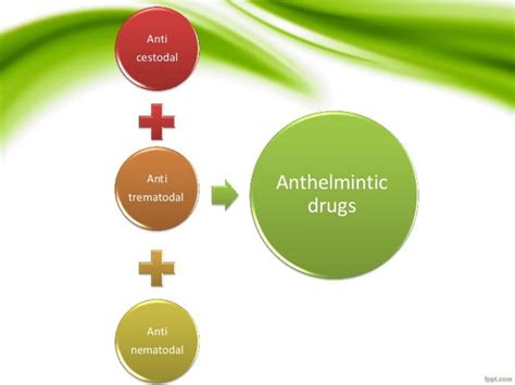 Classification of antiparasitic drugs