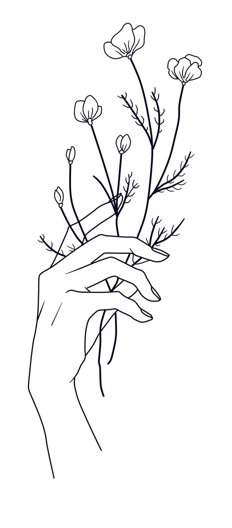 Hand Holding Flower Sketch ~ Hand Holding Flower By Bethanyannewilson On Deviantart | Bodaswasuas