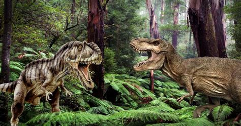 Giganotosaurus Vs T Rex: Comparison Of Size, Speed And Intelligence