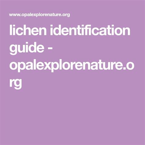 lichen identification guide - opalexplorenature.org | Imperial college ...