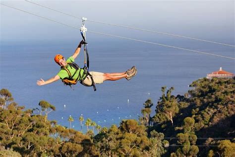 TripAdvisor | Catalina Island Zip Line Eco Tour | Avalon