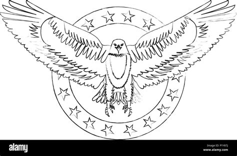 american eagle flag in label decoration vector illustration sketch ...