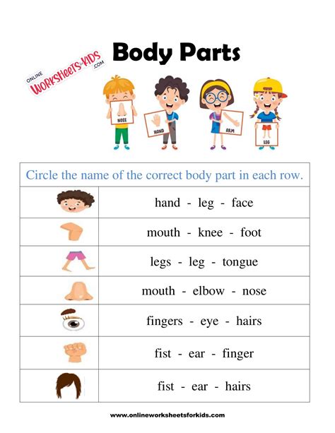 Printable Body Parts Worksheet