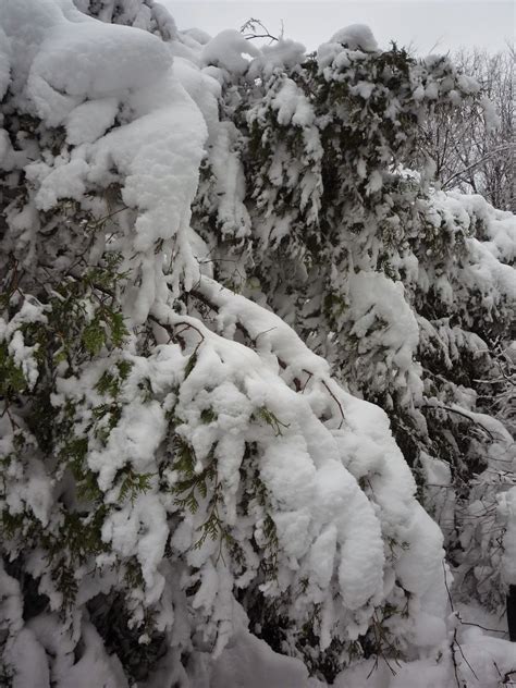 Weather in Vermont: Dec 2014 Snowstorm | South Burlington, Vermont ...