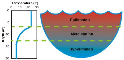 Examples of automated analysis of NRT water quality data