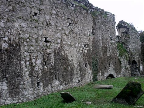 Ireland In Ruins: Clane Abbey Co Kildare