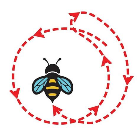 What Is The Waggle Dance? An Essential Guide Bee Professor