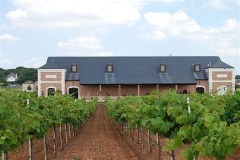 ineries | Grapevine Texas Online | Grape vines, Grapevine texas, Winery