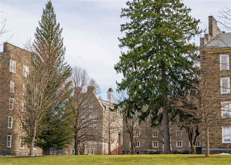 Colgate Community Supports Students on Campus | Colgate University