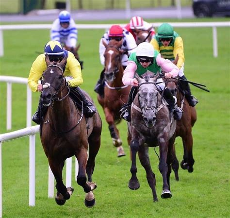 Galway Races - ESDA-Ireland