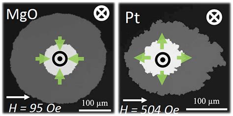 Integrated Kerr Microscope | Tuotuotechnologyhttps://www.tuotuot.com/Integrated-Kerr-Microscope ...