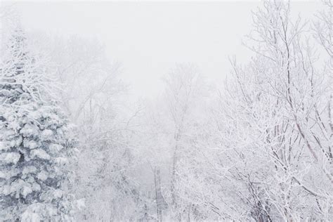 Snowy Vermont – mutelife