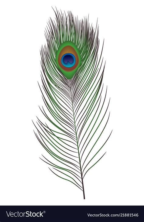 Peacock feather icon realistic style Royalty Free Vector