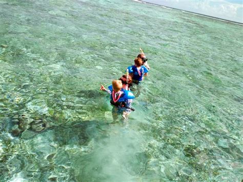 Snorkeling Mexico Rocks – No Worries Tours Belize