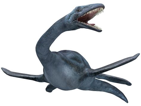 Elasmosaurus Facts, Adaptation, Classification and Species