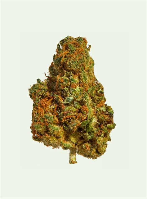 Cannabis Archives - SHINY BUD