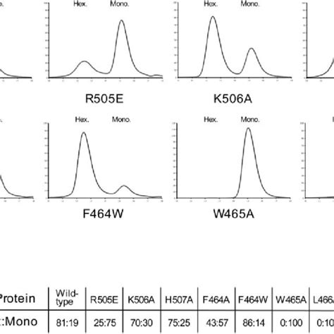 Conserved amino acids in helicase superfamily 3, structure of SV40... | Download Scientific Diagram