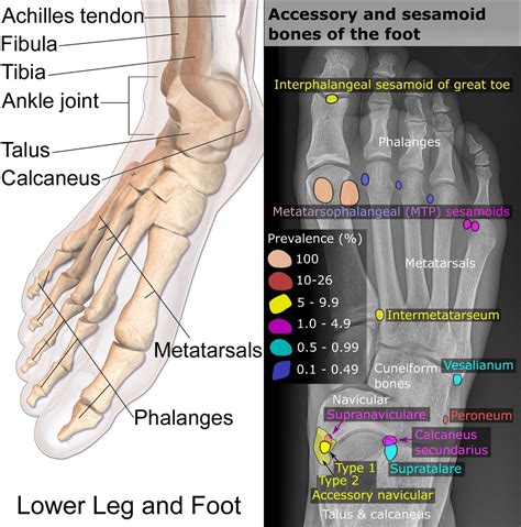 Put Your Hands, and Your Feet, Into the Soil – Gaianism