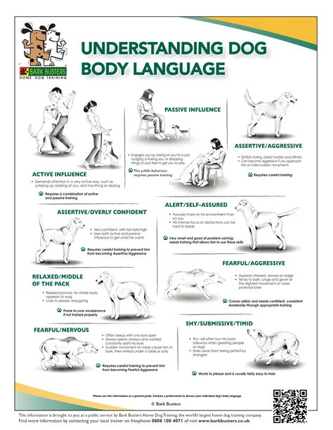 Printable Dog Body Language Chart - Printable Word Searches