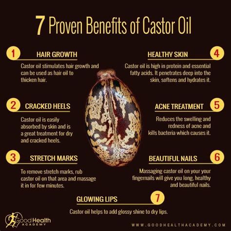 Castor Oil Uses, Castor Oil Benefits, Castor Oil For Hair, Hair Oil ...