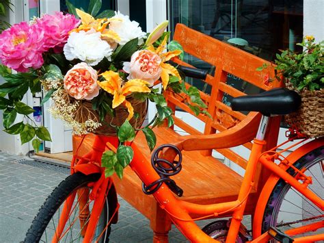 Bicycle Decorated Bike Flower - Free photo on Pixabay - Pixabay