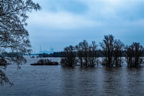 Hochwasser Rhein 2021 Foto & Bild | die elemente, wasser, winter Bilder auf fotocommunity