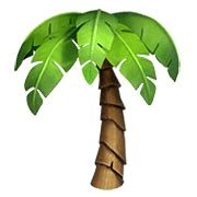 🌴 Emoji Palmera en Apple iOS 13.3