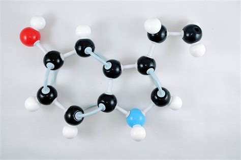 Serotonin – Duluth Labs