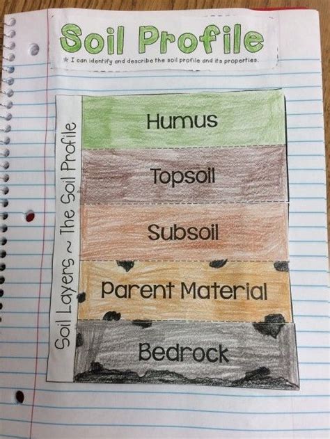 Edible Soil Project | Soil layers, Elementary earth science, Soil activities