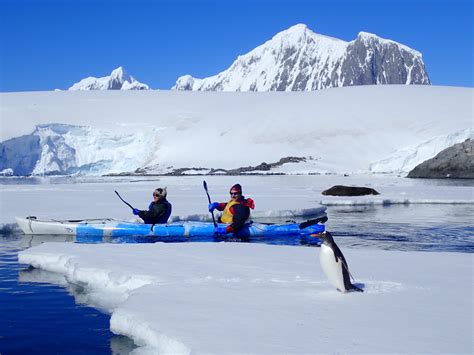 Kayaking in Antarctica - Quixote Expeditions