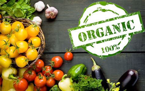 Does Organic Food Reduce Cancer Risk? - Macs Blogs