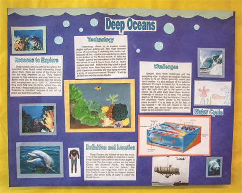 Brochures, posters, and Foldables: using multimodal representations in middle school science ...