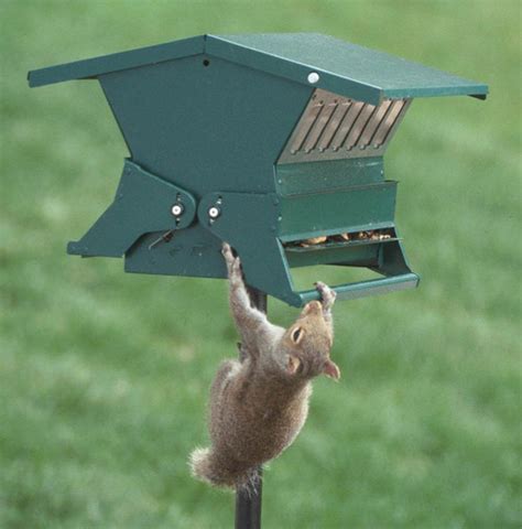 Heritage Farms Absolute II Squirrel Proof Bird Feeder