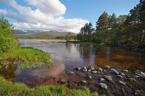 Loch Morlich, Aviemore, Highland by Dennis Barnes