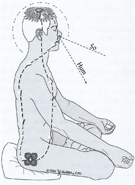 So-Hum Breathing Meditation — Zenshin Institute