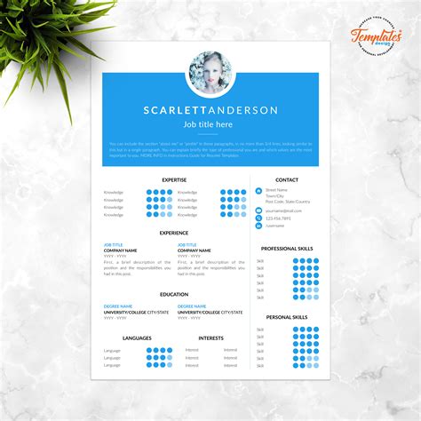 Instant Download Creative Resume Template Word / Curriculum - Etsy España | Resume template ...