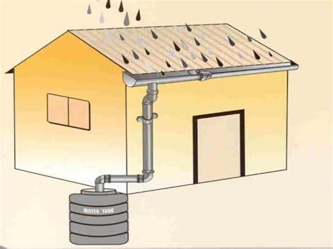 Rainwater Harvesting | It's Importance | Different techniques