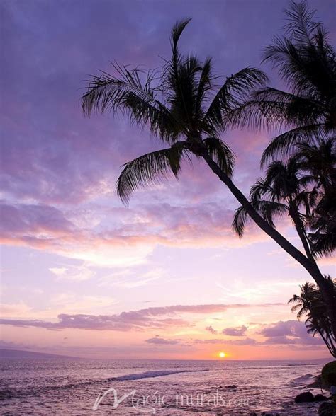 Purple Sunset | Purple sunset, Sunset wallpaper, Sunset