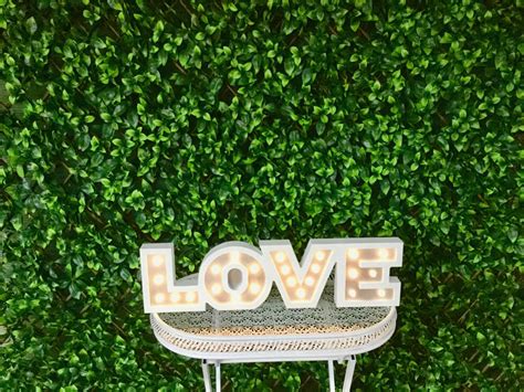 Greenery Wall Backdrop – Stylish Outdoor Weddings – No. 1 Wedding Hire ...