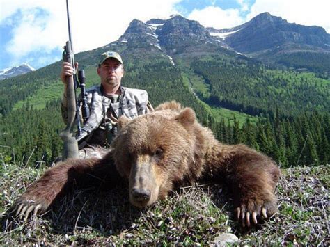 Petition · Create legislation banning the Grizzly Bear trophy hunt · Change.org