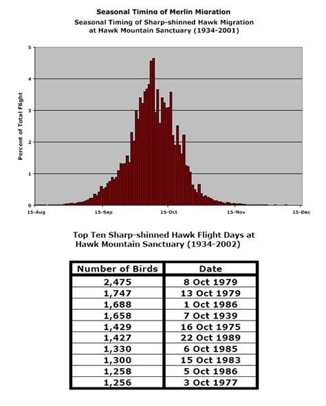 Sharp-shinned Hawk | Hawk Mountain Sanctuary: Learn Visit Join