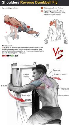 Reverse Fly Tips Reverse Fly Tips | Musculaire, Renforcement