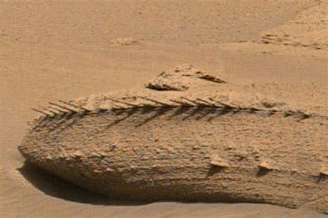 Dragon bones on Mars? Curiosity spies weird rocks