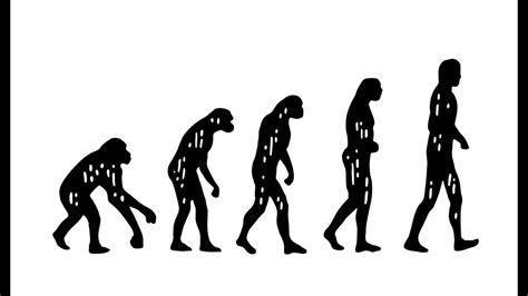 Darwin’s ‘Ape To Man’ Theory: Much Discussed But Less Understood ...