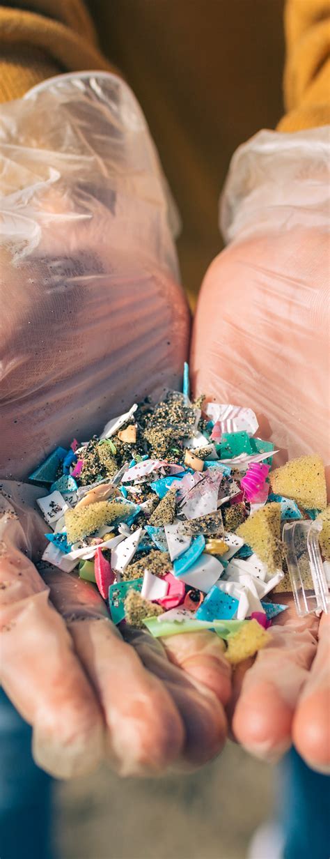 Microplastics: 6 Ways to Avoid Them and Why It Matters - The Zero Waste Family®