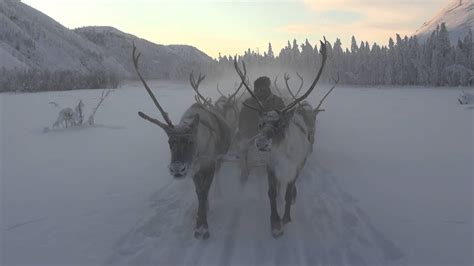 Reindeer Sleigh Ride in Oymyakon, Yakutia, Siberia Russia. Winter Travel. - YouTube