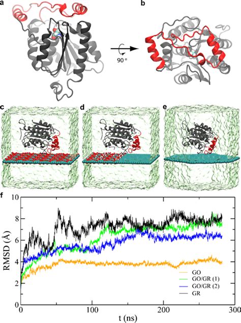 Molecular dynamics simulation results. (a, b) Side and top views of the... | Download Scientific ...