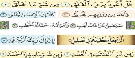 Online Tajweed and Arabic courses with Expert tutors from Egypt