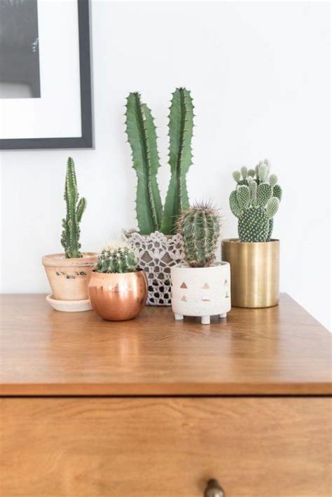 16 Simple Yet Beautiful DIY Cactus Pots That Everyone Can Make